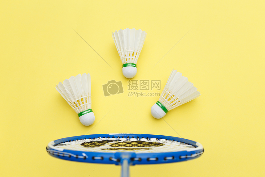 心理素质 心理素质